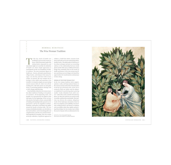 National Geographic Herbal: 100 Herbs from the World's Healing Traditions