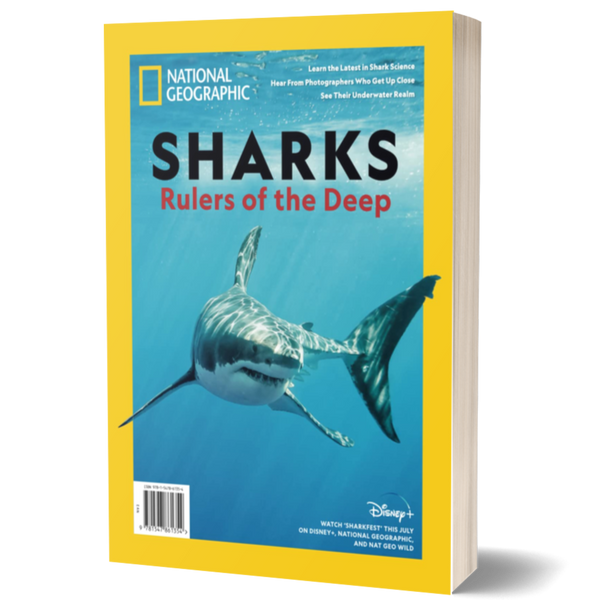 National Geographic Sharks