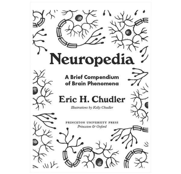 Neuropedia: A Brief Compendium of Brain Phenomena