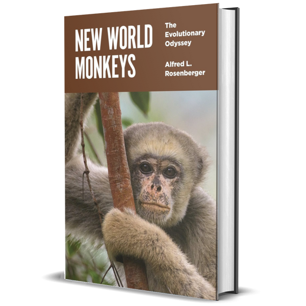 New World Monkeys: The Evolutionary Odyssey