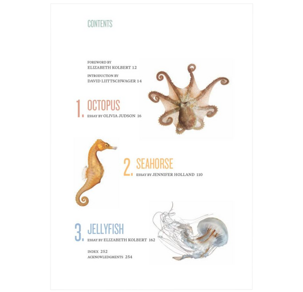 Octopus, Seahorse, Jellyfish