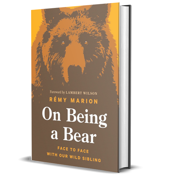 On Being a Bear: Face to Face with Our Wild Sibling