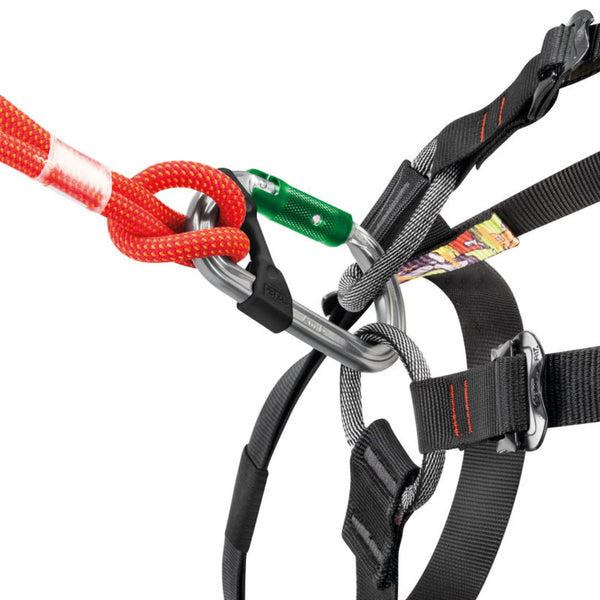 Mosquetón Petzl Am’D Pin-Lock