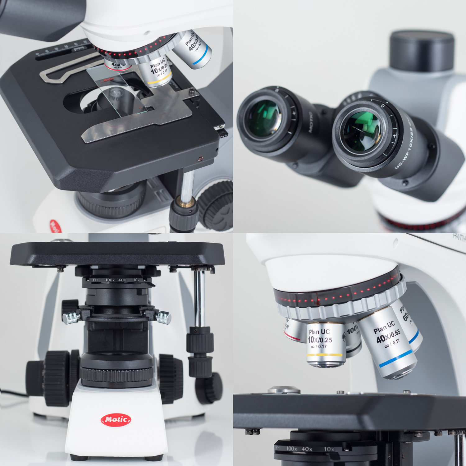 Microscopios Motic Serie Panthera C2 ²⁵ - BIOWEB® Colombia