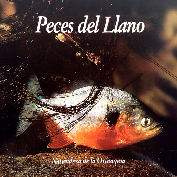 Peces Del Llano