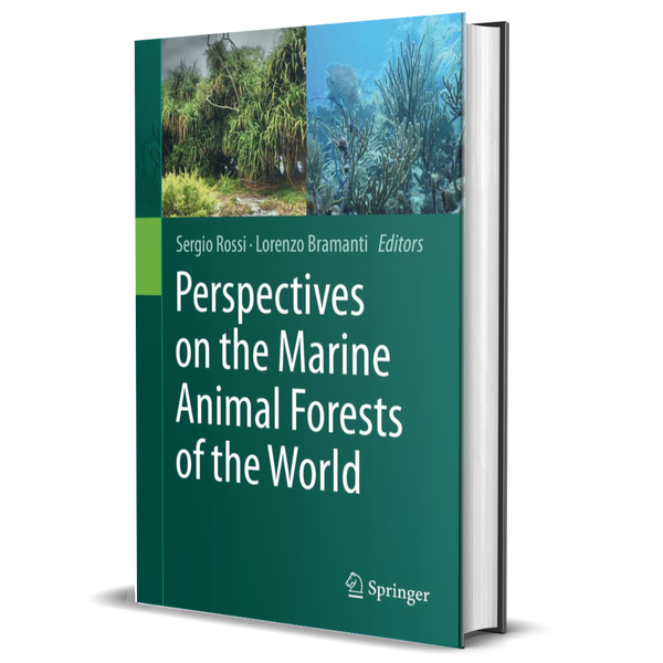 Perspectives on the Marine Animal Forests of the World
