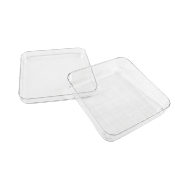 Placa de Petri Wildco con Cuadrícula 17,78 x 8.89 x 8.89 cm - 10 ud