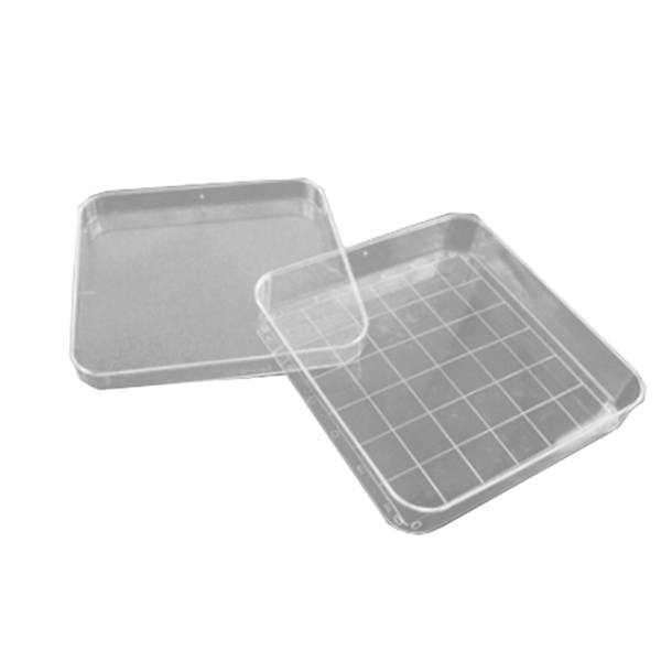 Placa de Petri Wildco con Cuadrícula 17,78 x 8.89 x 8.89 cm - 10 ud