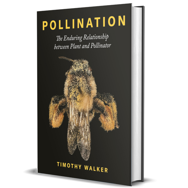 Pollination: The Enduring Relationship between Plant and Pollinator