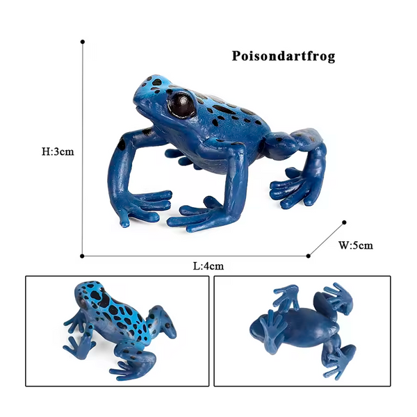 Modelo de Simulación de Rana, Ciclo de Crecimiento y Figuras de Ranas (+3)