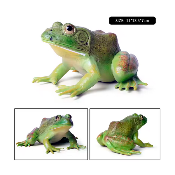 Modelo de Simulación de Rana, Ciclo de Crecimiento y Figuras de Ranas (+3)