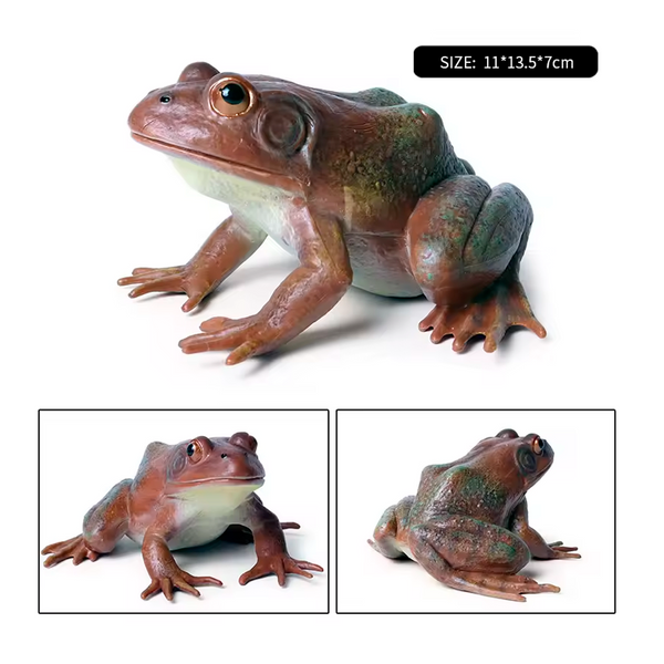 Modelo de Simulación de Rana, Ciclo de Crecimiento y Figuras de Ranas (+3)