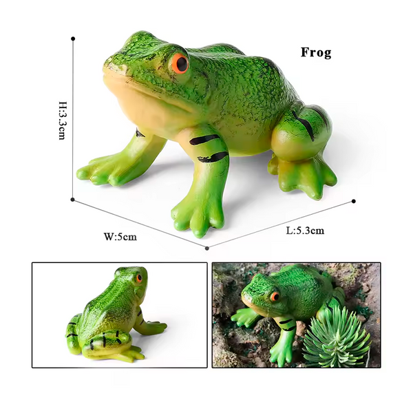 Modelo de Simulación de Rana, Ciclo de Crecimiento y Figuras de Ranas (+3)