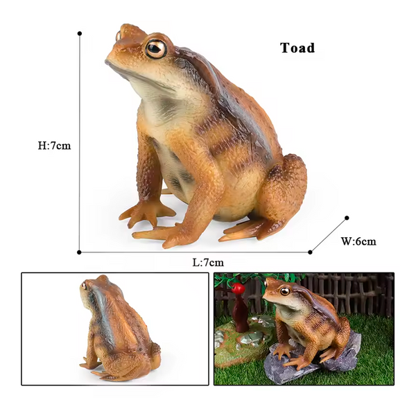 Modelo de Simulación de Rana, Ciclo de Crecimiento y Figuras de Ranas (+3)