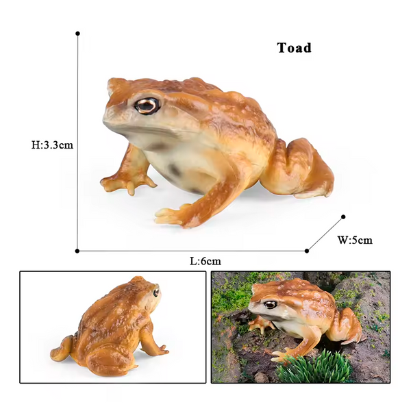 Modelo de Simulación de Rana, Ciclo de Crecimiento y Figuras de Ranas (+3)