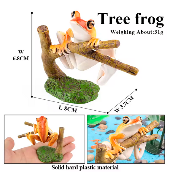 Modelo de Simulación de Rana, Ciclo de Crecimiento y Figuras de Ranas (+3)