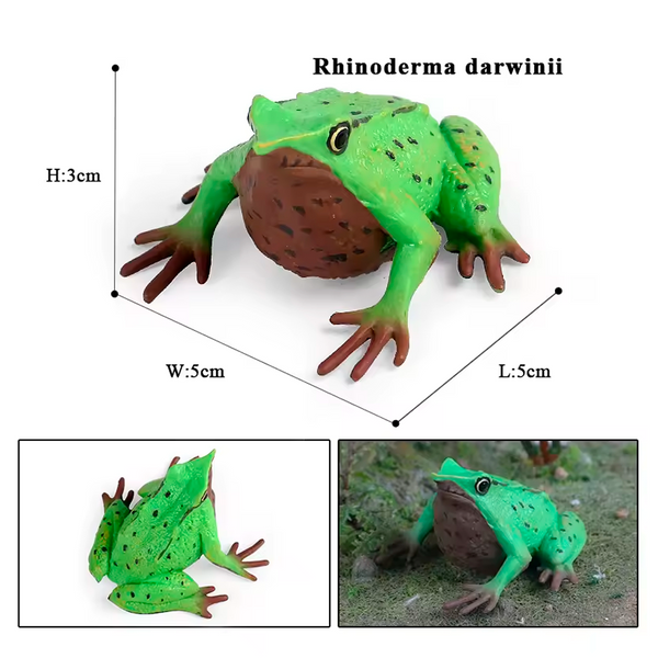 Modelo de Simulación de Rana, Ciclo de Crecimiento y Figuras de Ranas (+3)
