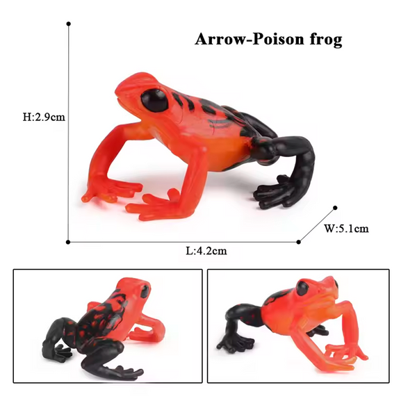 Modelo de Simulación de Rana, Ciclo de Crecimiento y Figuras de Ranas (+3)