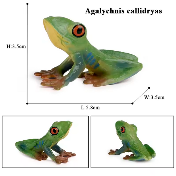 Modelo de Simulación de Rana, Ciclo de Crecimiento y Figuras de Ranas (+3)