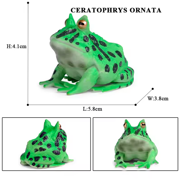 Modelo de Simulación de Rana, Ciclo de Crecimiento y Figuras de Ranas (+3)