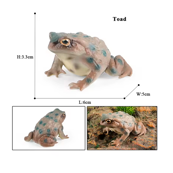 Modelo de Simulación de Rana, Ciclo de Crecimiento y Figuras de Ranas (+3)