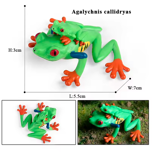 Modelo de Simulación de Rana, Ciclo de Crecimiento y Figuras de Ranas (+3)