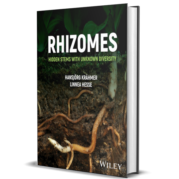 Rhizomes: Hidden Stems with Unknown Diversity