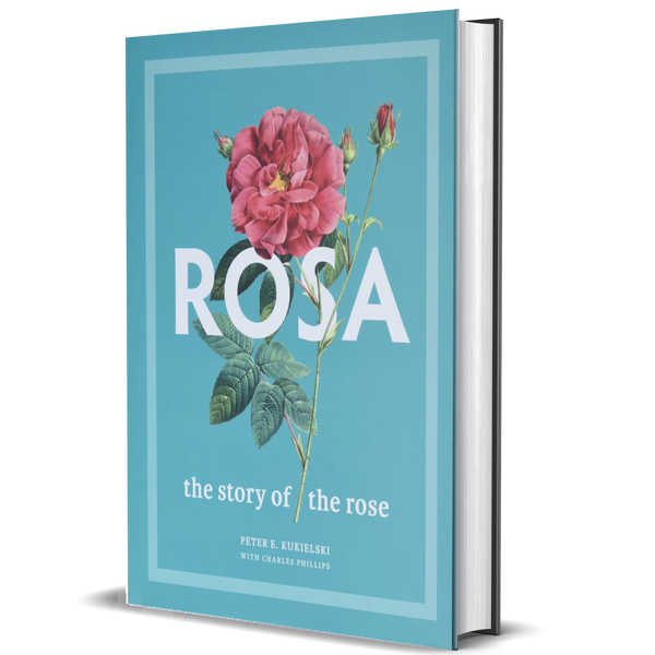 Rosa: The Story of the Rose