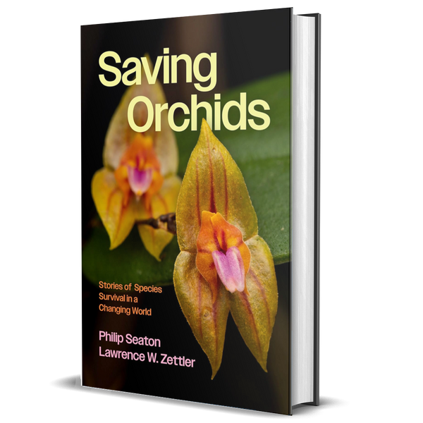 Saving Orchids: Stories of Species Survival in a Changing World