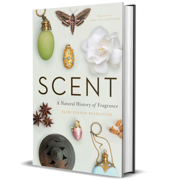 Scent: A Natural History of Fragrance