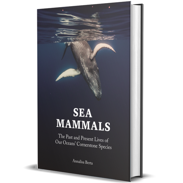 Sea Mammals The Past and Present Lives of Our Oceans’ Cornerstone Species