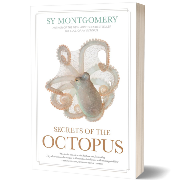 Secrets of the Octopus