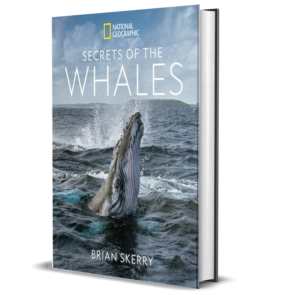 Secrets of the Whales