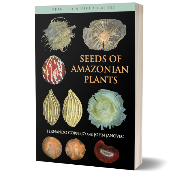 Seeds of Amazonian Plants