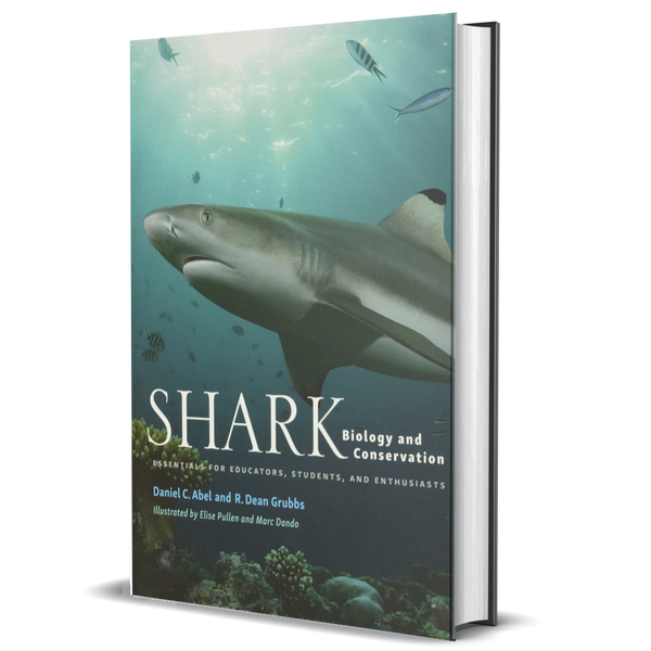 Shark Biology and Conservation: Essentials for Educators, Students, and Enthusiasts
