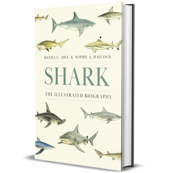 Shark: The Illustrated Biography