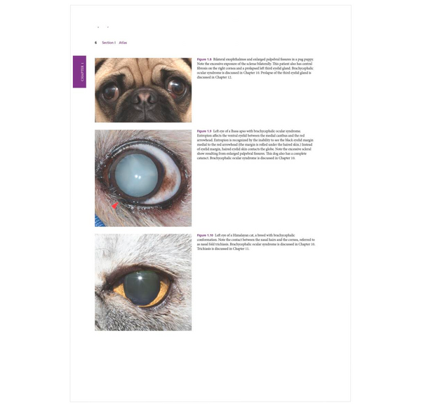 Small Animal Ophthalmic Atlas and Guide