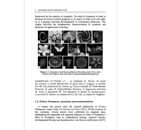 Systematic Fundamentals (Biology and Biomedical Engineering) 1st Edition