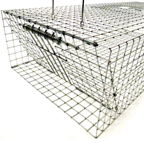 Trampas para Palomas Plegables Tomahawk con Dos Puertas