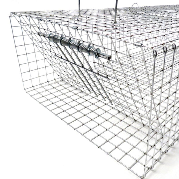 Trampas para Palomas Plegables Tomahawk con Dos Puertas
