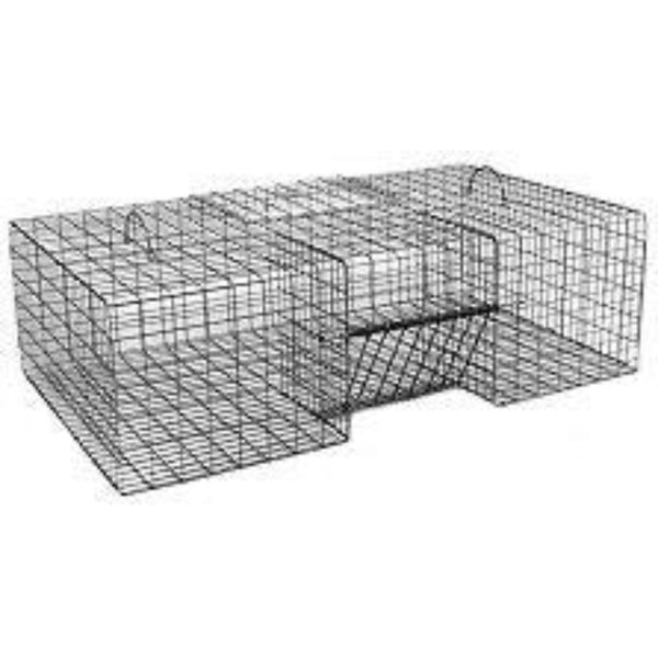 Trampas para Palomas Plegables Tomahawk con Dos Puertas