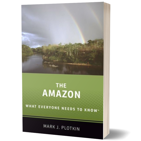 The Amazon: What Everyone Needs to Know