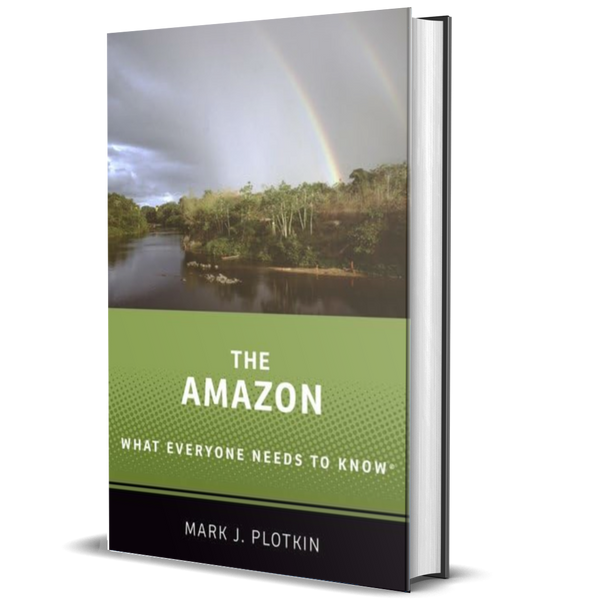 The Amazon: What Everyone Needs to Know