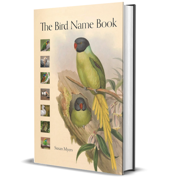 The Bird Name Book