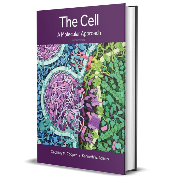 The Cell: A Molecular Approach