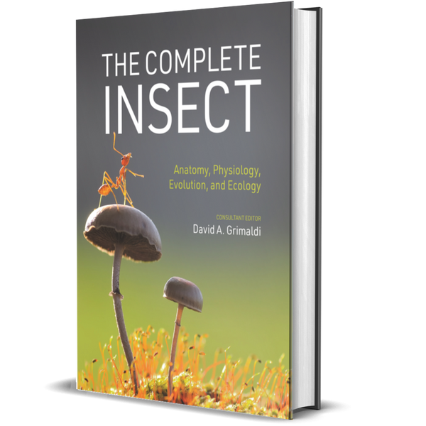 The Complete Insect Anatomy, Physiology, Evolution, and Ecology