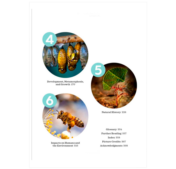 The Complete Insect Anatomy, Physiology, Evolution, and Ecology