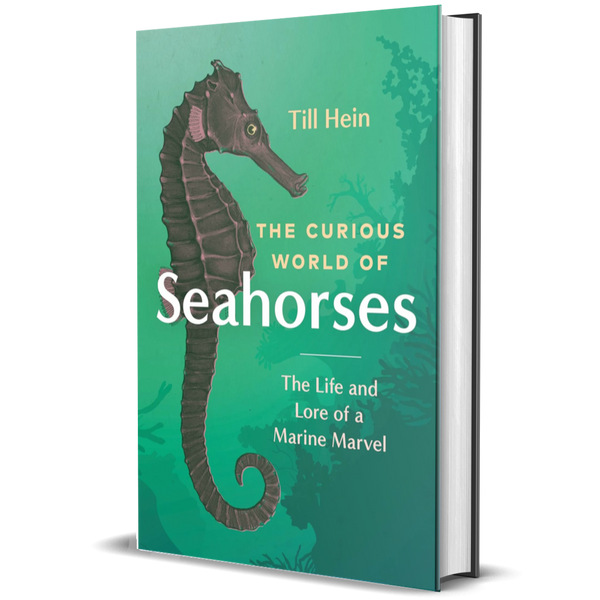 The Curious World of Seahorses: The Life and Lore of a Marine Marvel
