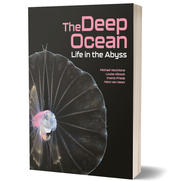 The Deep Ocean: Life in the Abyss