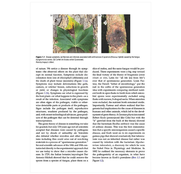 The Evolutionary Ecology of Plant Disease